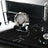 Zebra Black | Premium Crystal Desktop Nameplate Set - 15 Pieces - Luxury Office Desk Set