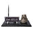 Eagle-Figure Black Marble Desk Nameplate – Personalized Executive Office Nameplate
