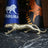 Large Cheetah Statue Gold - 80 cm Luxury Office Accessory