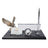Marble Desk Nameplate with Winged Eagle Figure