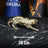Large Fierce Tiger Statue Gold - 50 cm Luxury Office Accessory
